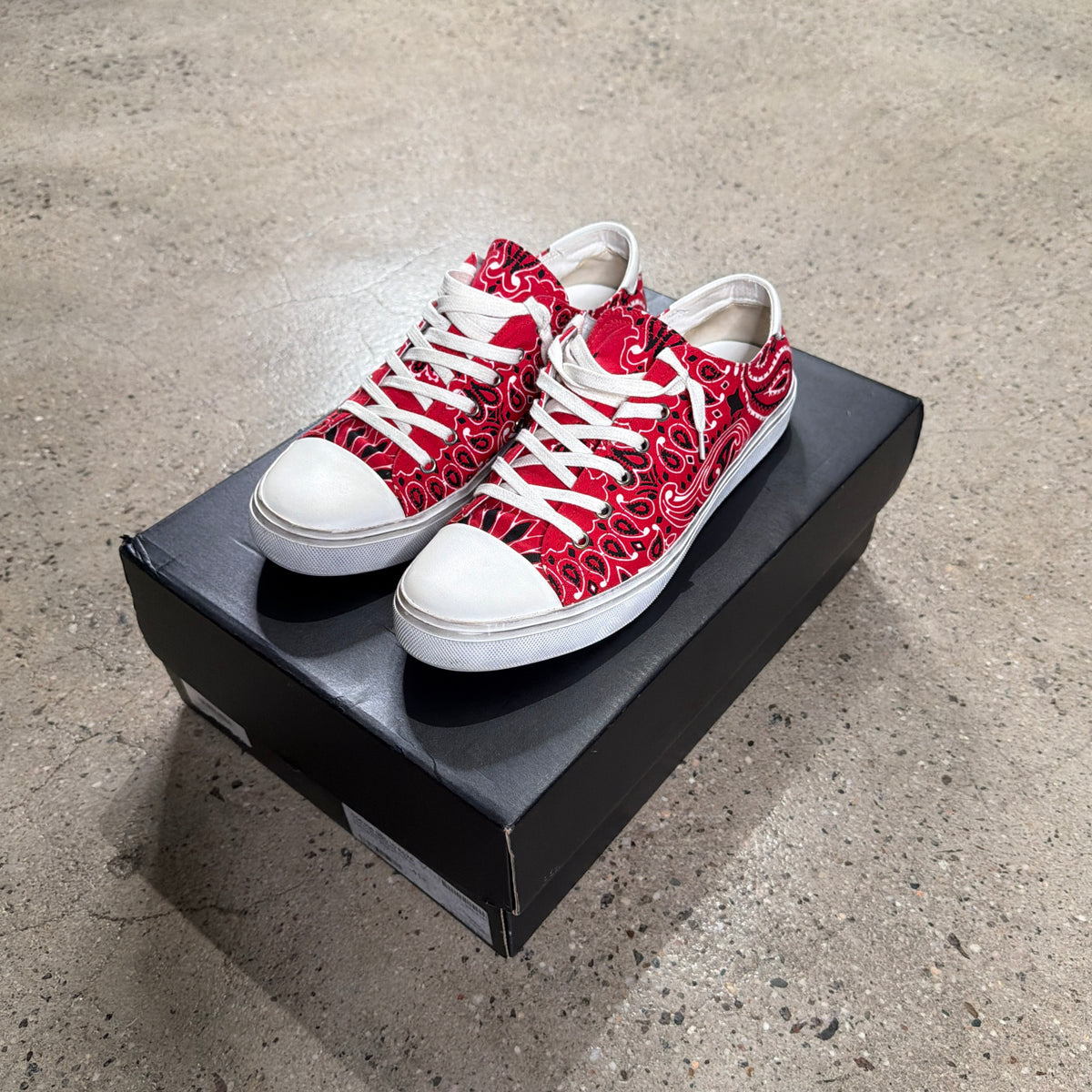 Saint Laurent Bedford Sneakers