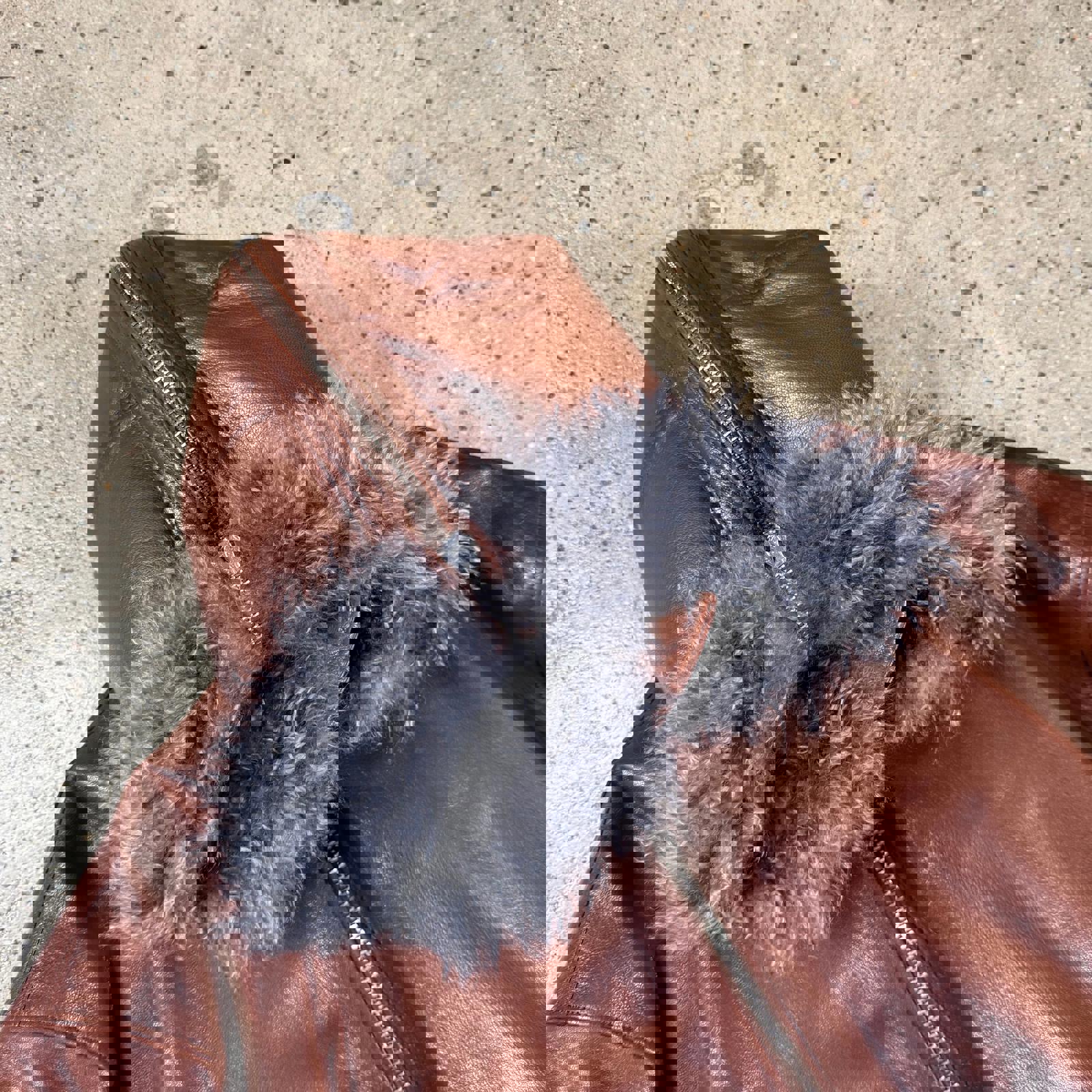 Prada Raf Simons Leather Hooded Bomber Jacket M / Brown