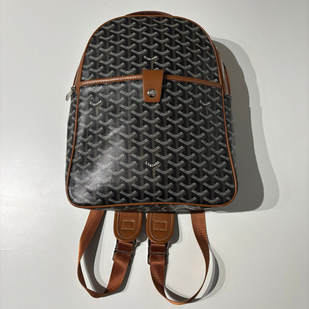 Goyard Mini Backpack