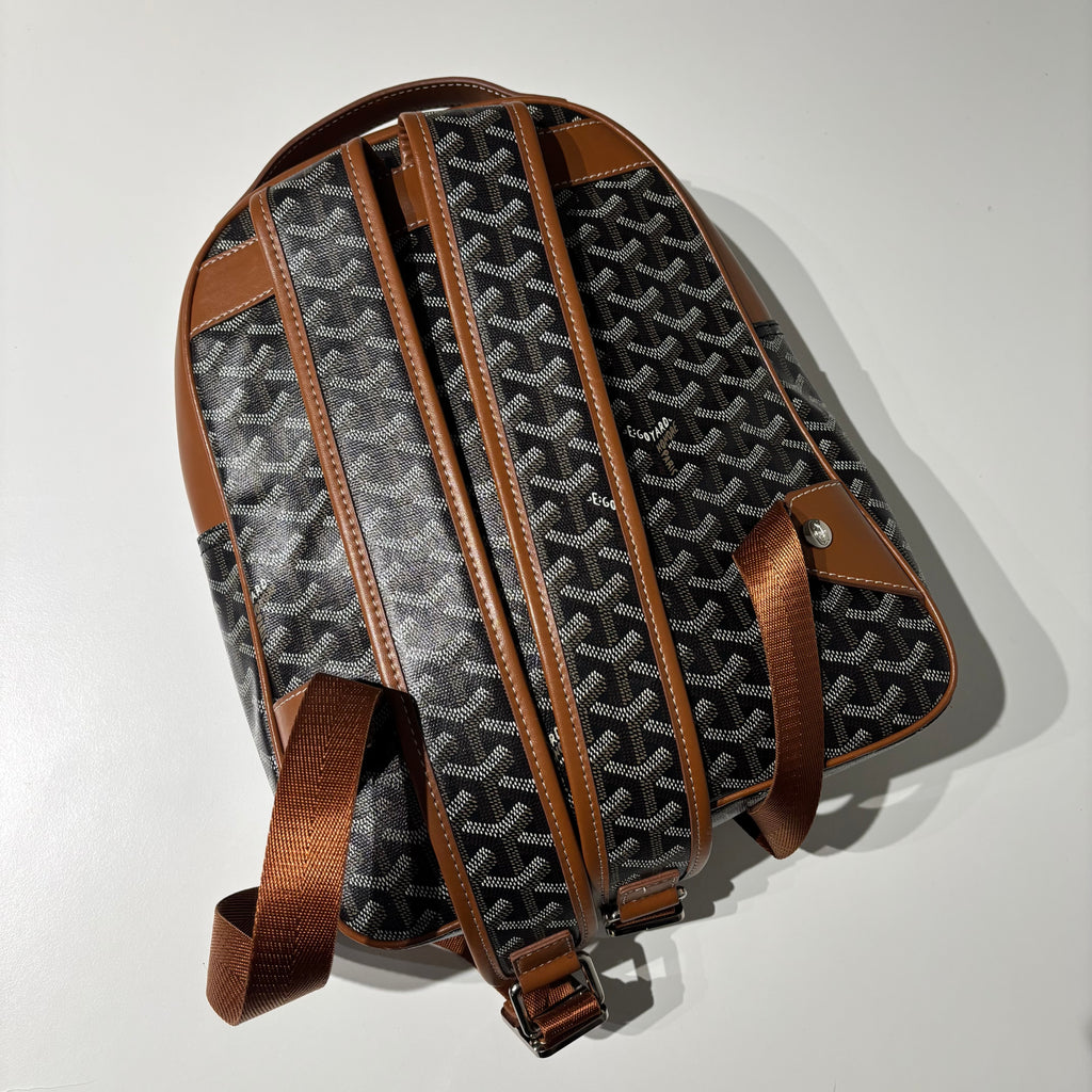 Goyard Mini Backpack
