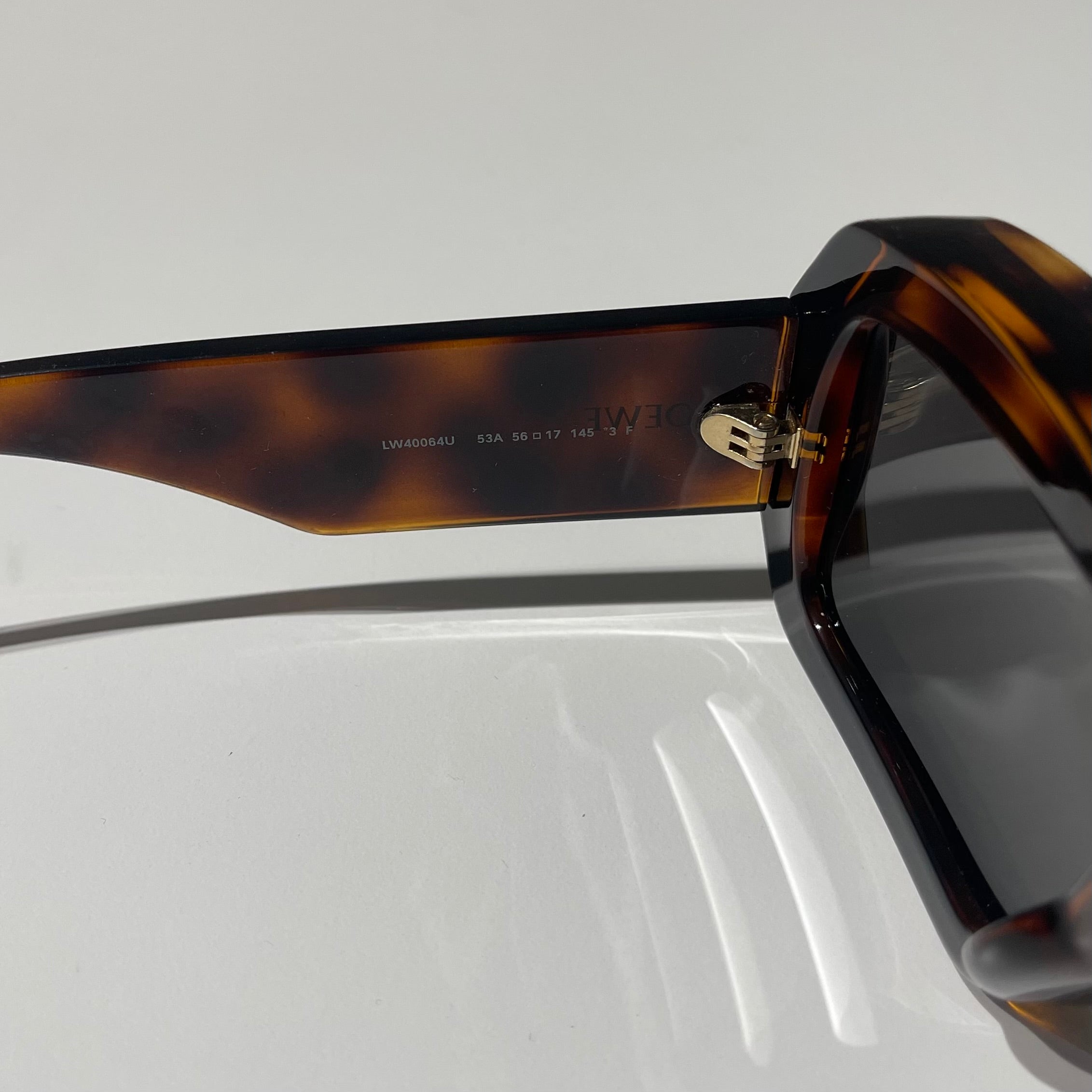 Loewe Square Tinted Sunglasses