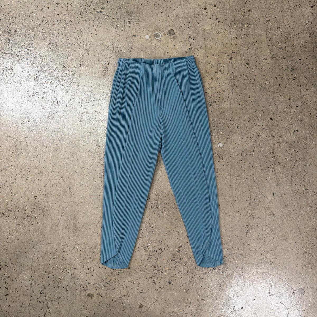 Issey Miyake Pleated Pants