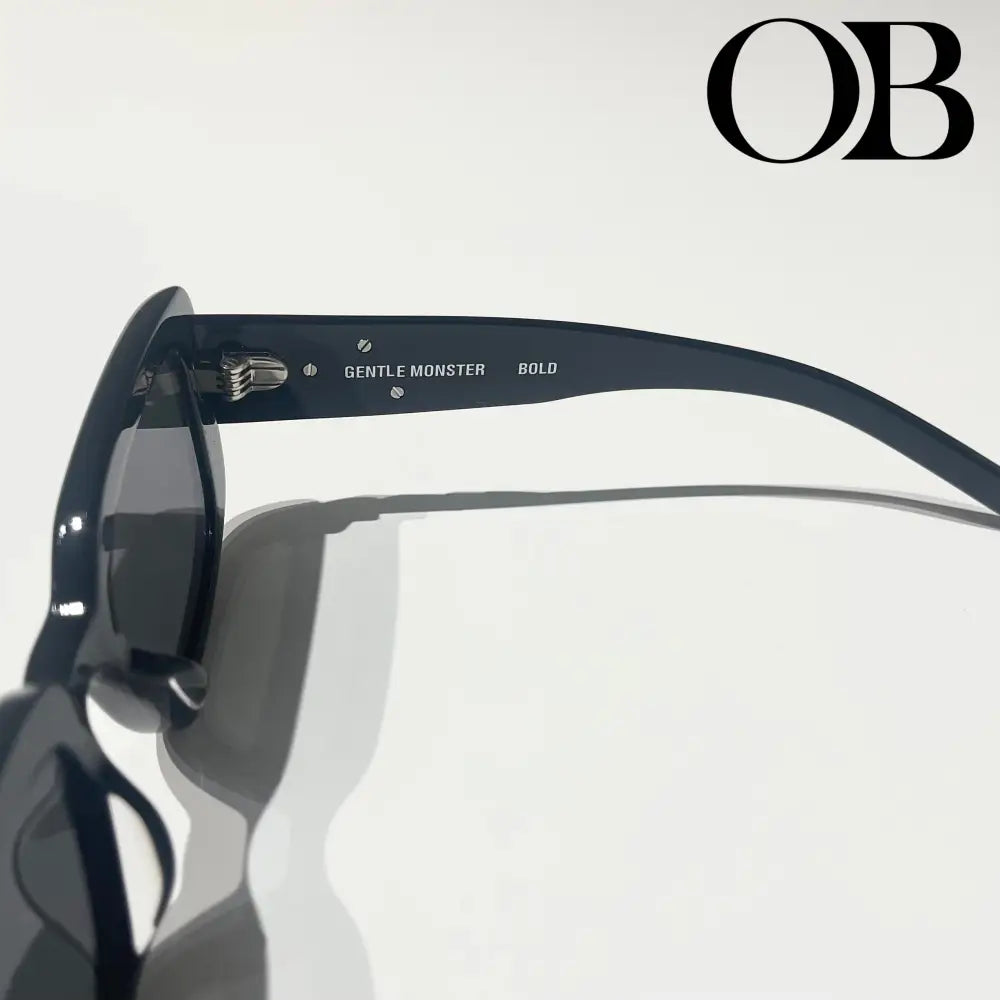 Gentle Monster Antena Sunglasses accessories