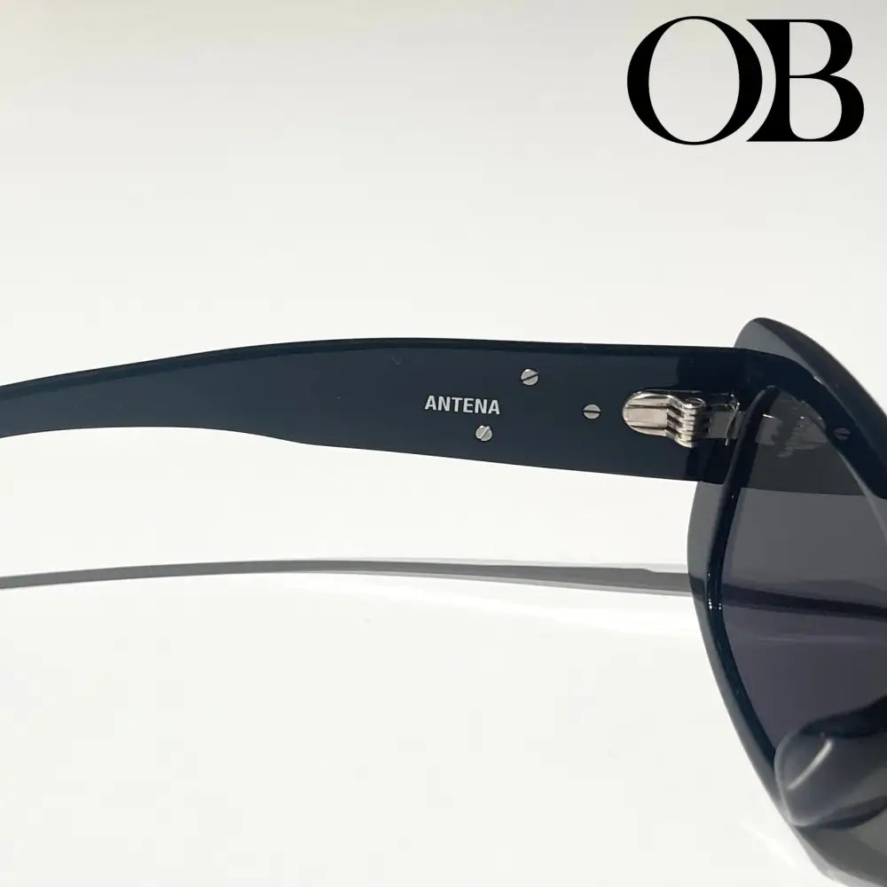 Gentle Monster Antena Sunglasses accessories