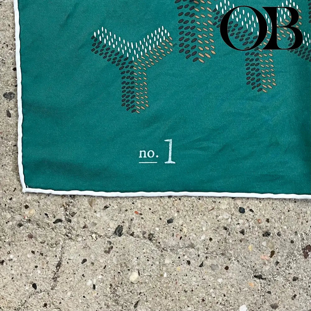 Goyard Silk Scarf accessories