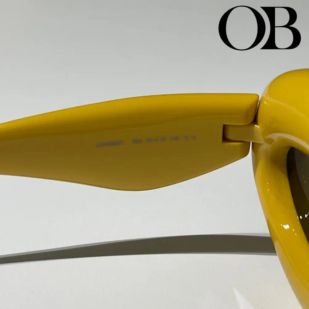 Loewe Cat Eye Glasses accessories