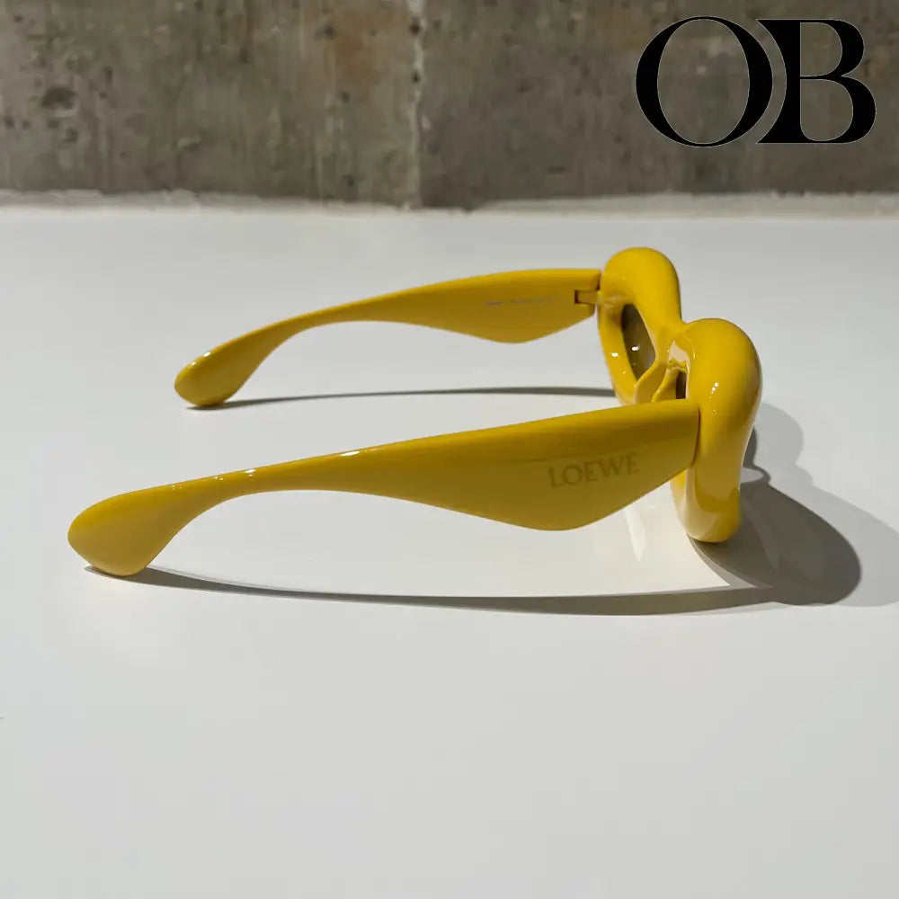 Loewe Cat Eye Glasses accessories