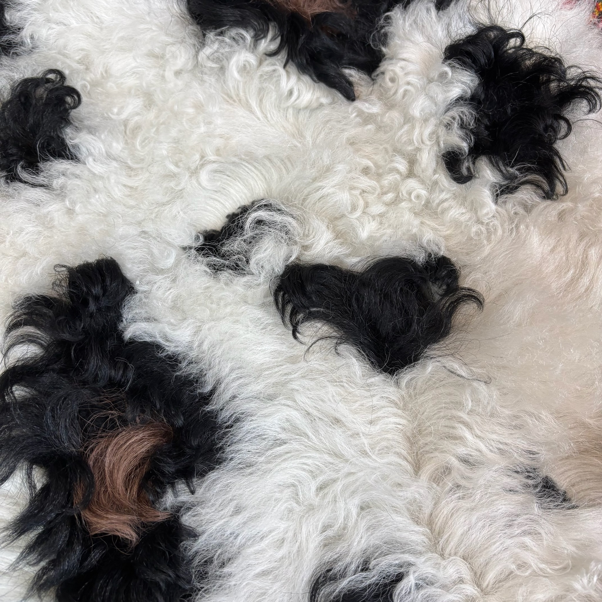 Miu Miu Shearling Scarf - View 2